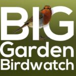 Big Garden Birdwatch 2018 logo