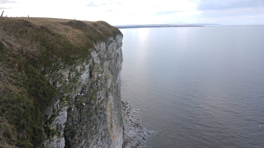 Photo of Bempton Cliffs looking towards Filey, with Filey Brigg in the distance