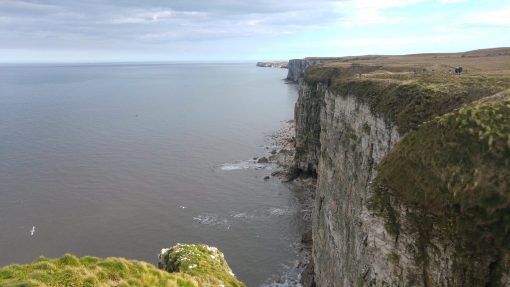 Photo of Bempton Cliffs looking towards Flamborough Head